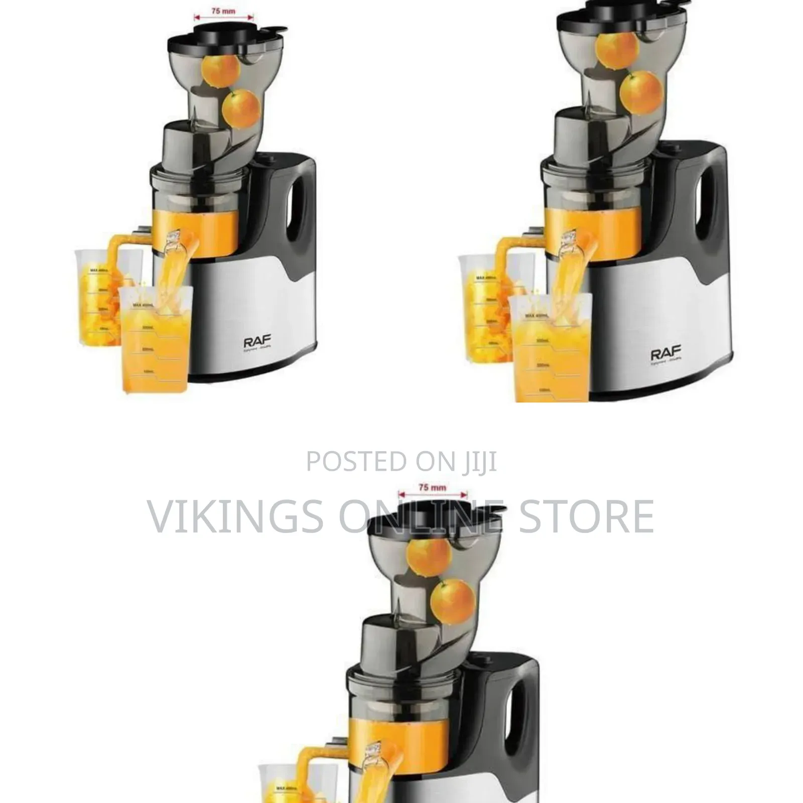 Raf High-Efficiency Slow Masticating Juicer With Wide Feed Chute