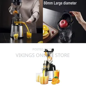 Sonifer Slow Masticating Juicer for Maximum Nutrient Extraction