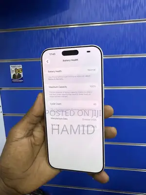 Apple iPhone 17 Pro Max 1 TB Silver