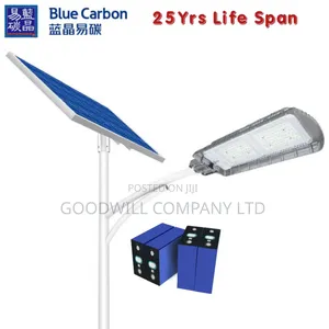 3.0 Blue Carbon Solar Street Light