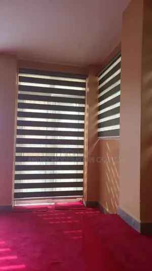 Legit Zebra Blind Curtains