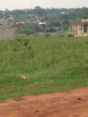Nakwero Sparkling Plot for Sell