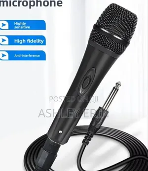 High Quality Metallic Vocals Microphone