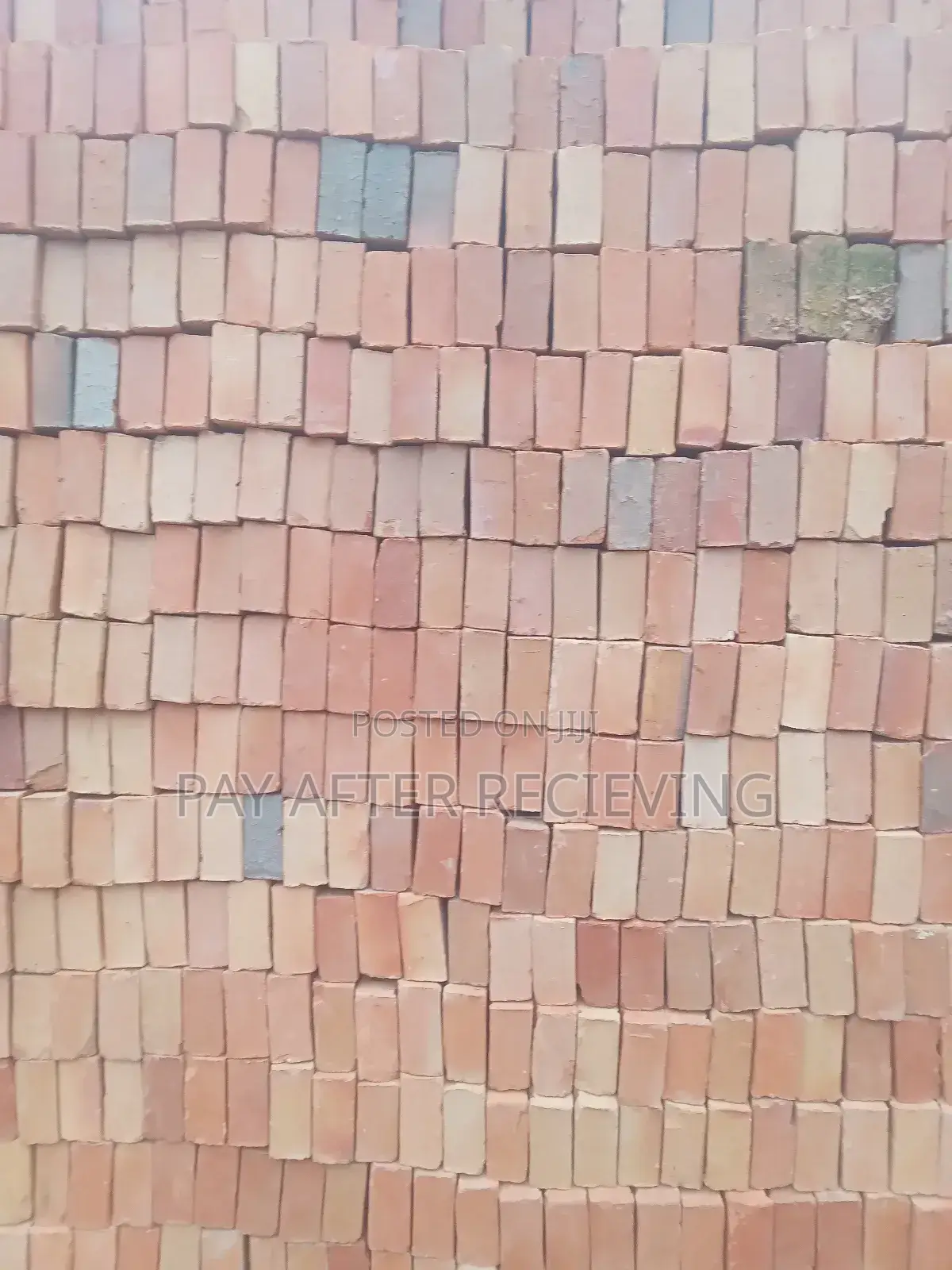 White Facing Bricks