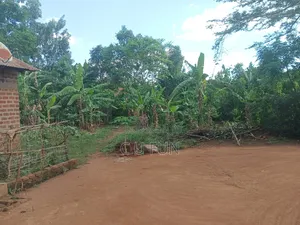 Eastern , Pallisa Land for Sale