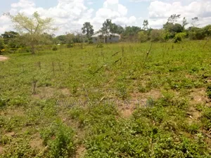 Land Within Lira City (Lira University)
