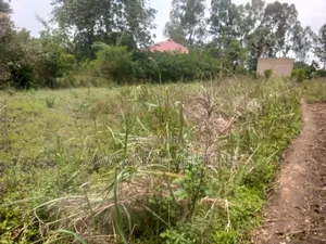 Land for Sale Within Lira City