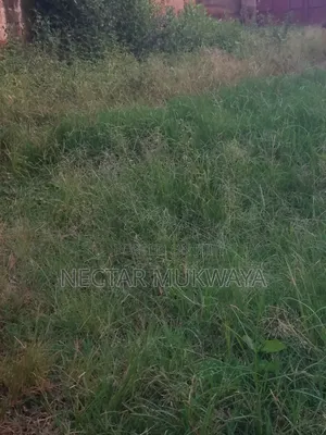 25 by 50 Mukono Kiyunga