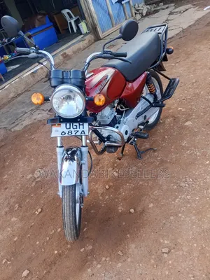 Bajaj Boxer 100 2024 Red