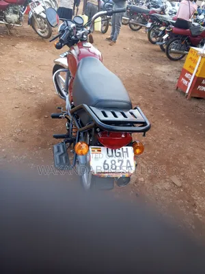 Bajaj Boxer 100 2024 Red