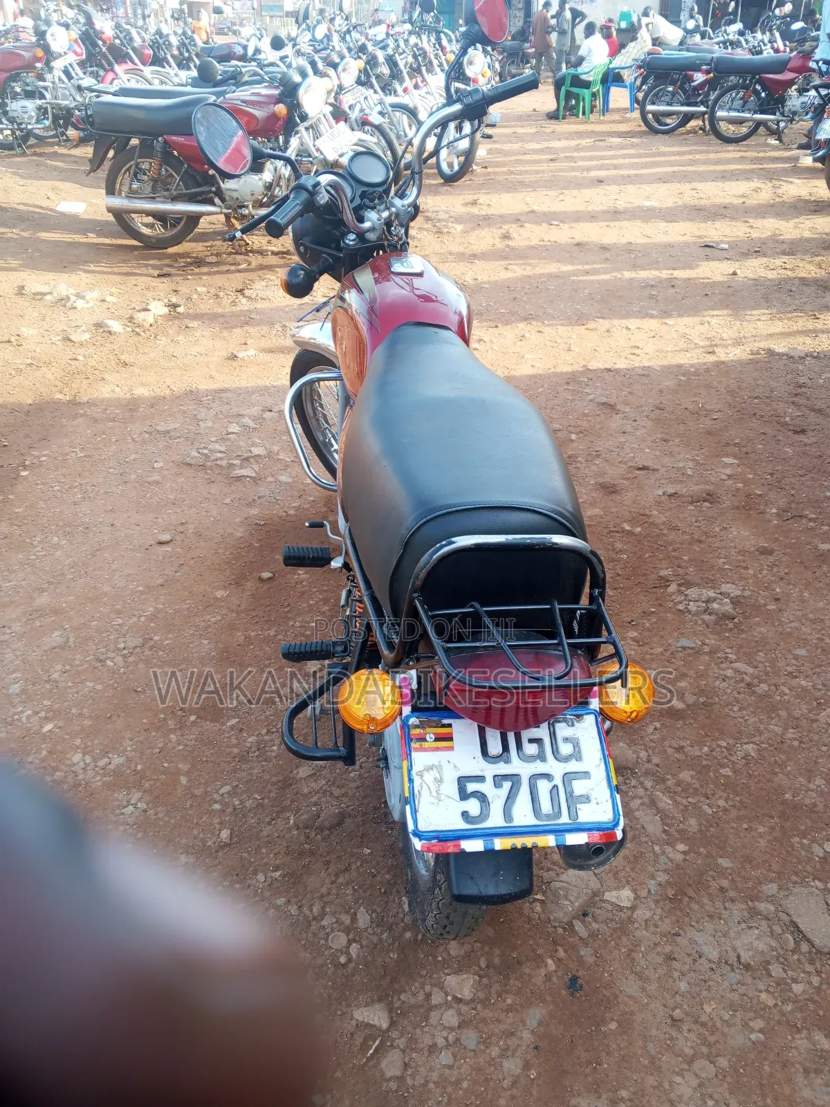 Bajaj Boxer 100 2024 Red