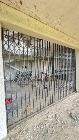 Kulapusebo Bagala Steel 9