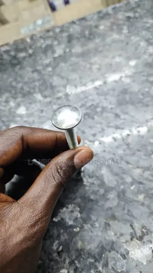 Ccarriage Bolt 150mm