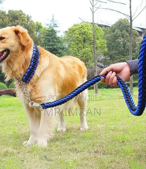Heavy-Duty Braided Nylon Dog Leash and Collar Set