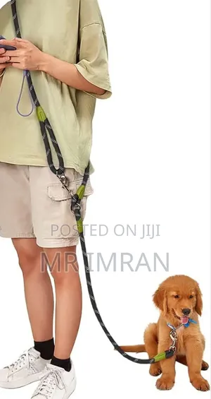 Hands-Free Dog Leash
