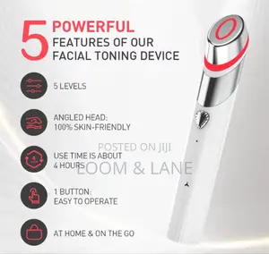 Professional 3-in-1 Facial Massager