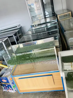 Mpaya Counter - Display Phone Transparent Enough 3ft