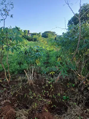 100 by 100 Plot on Entebbe Rd