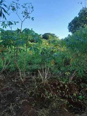 Modular 100 by 100 Plot in Bwerenga Kawuku