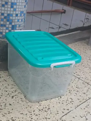 Plastic Storage Boxes Plastic Storage Boxes With Colored Cover