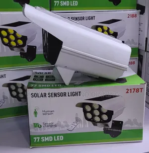 Solar Security Light/ Motion Sensor
