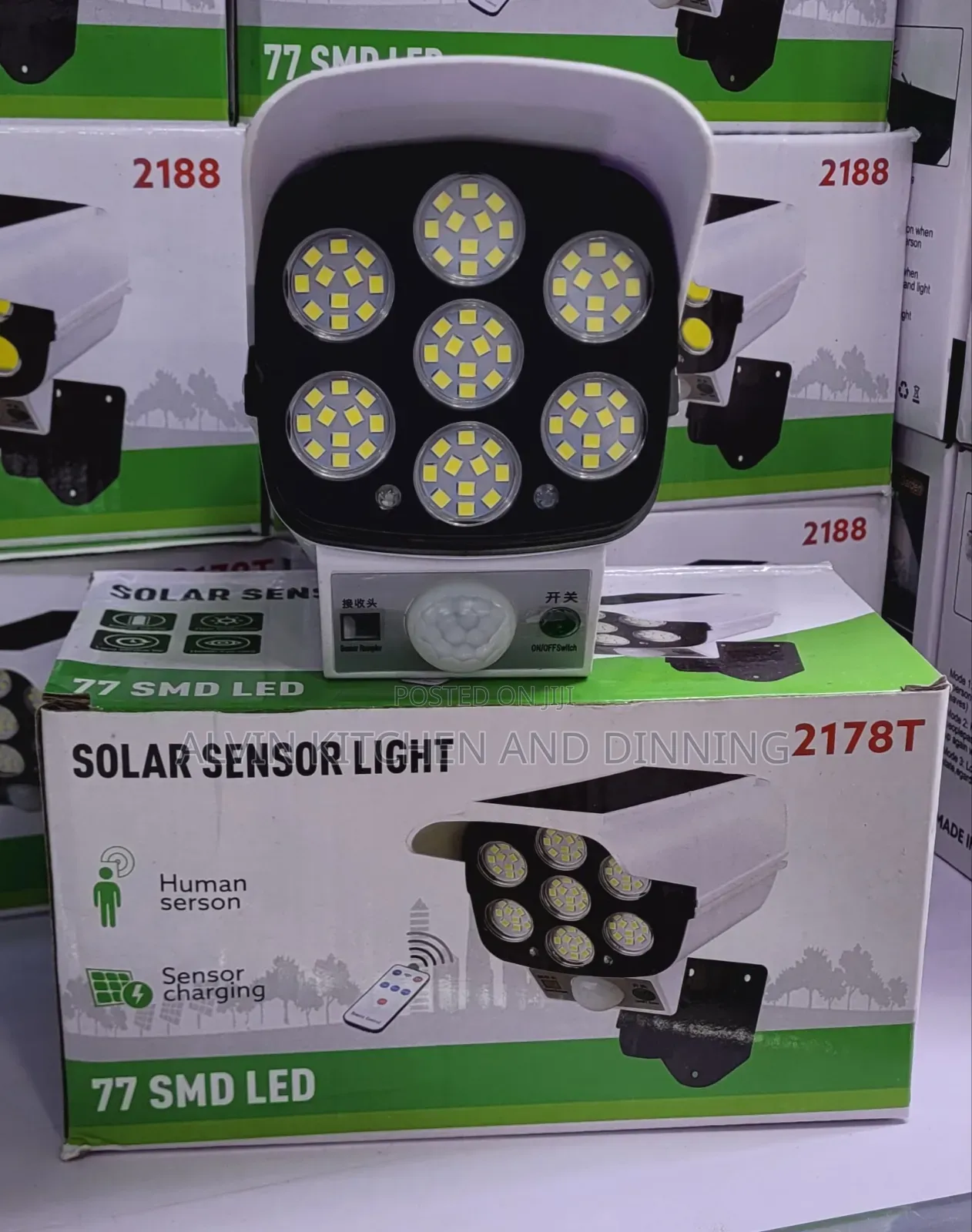 Solar Security Light/ Motion Sensor