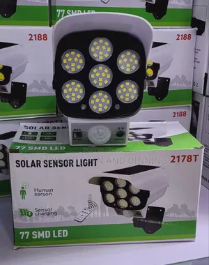 Solar Security Light/ Motion Sensor