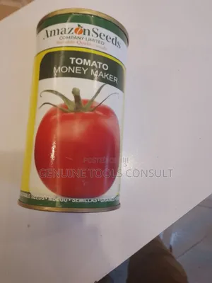 Tomato Seeds