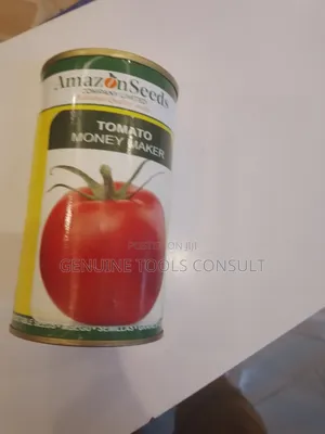 Tomato Seeds