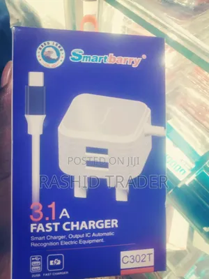 Smart Berry C302t 3.1 Fast Charger