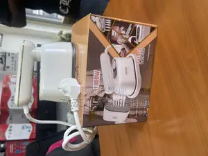 DSP Portable Travel Steam Iron