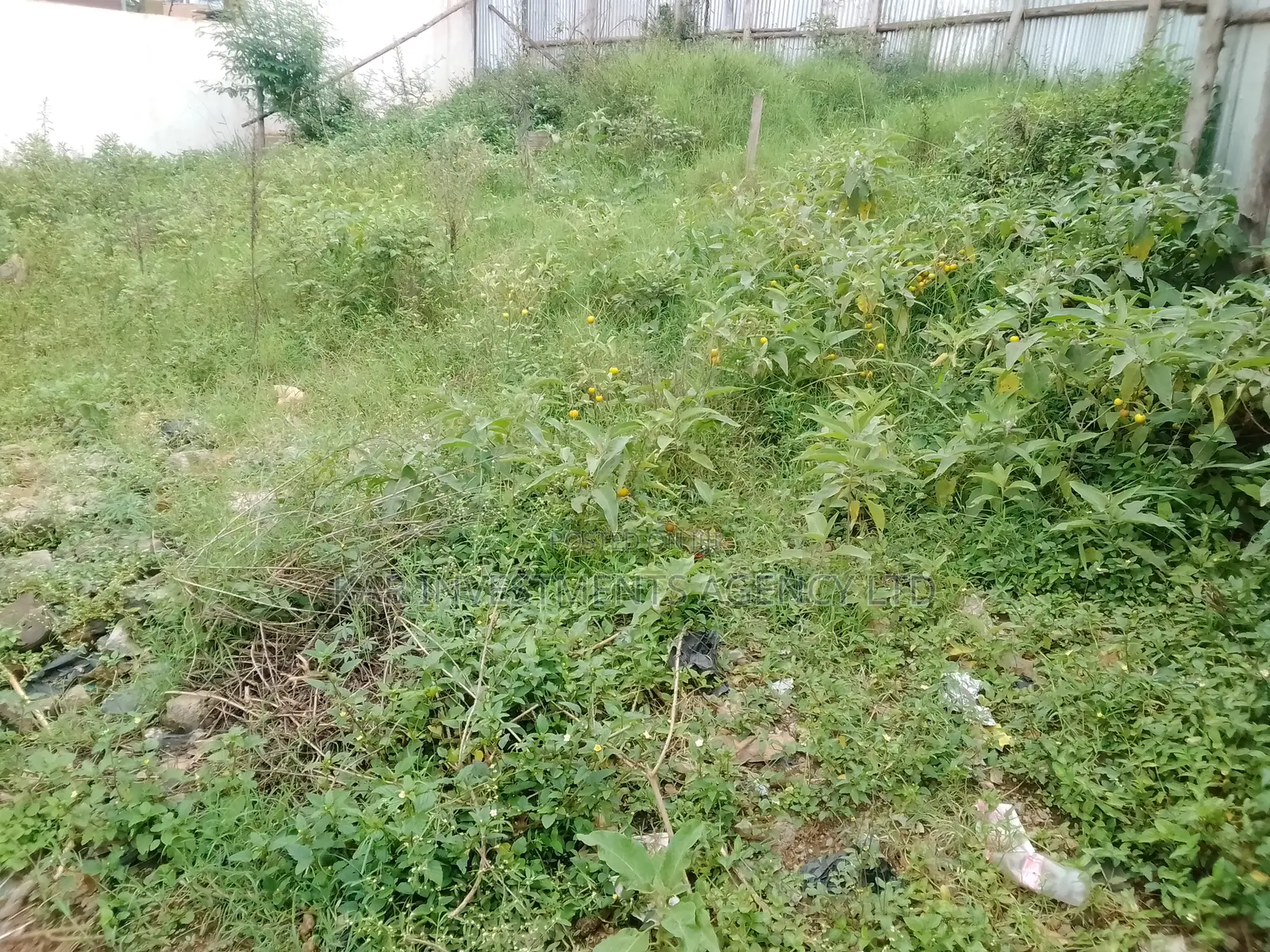 Plot for Sale
