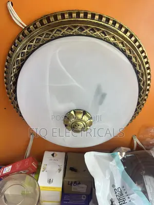 Ceiling Light