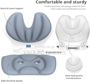 Ergonomic Chair Backrest Support Lumbar Support for Good Posture