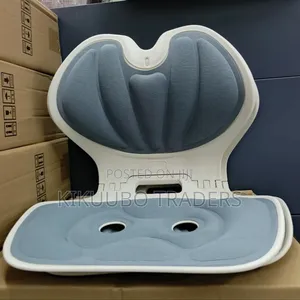 Breathable Petal Shaped Lumbar Support Chair Back Posture Corrector