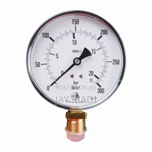 Pressure Gauge 0-21 Bar