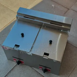12l Commercial Stainless Steel Double-tank Gas Deep Fryer.