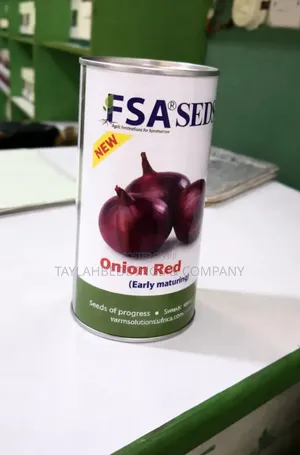 Onion Red Hybrid Vegetable Seeds
1kg
