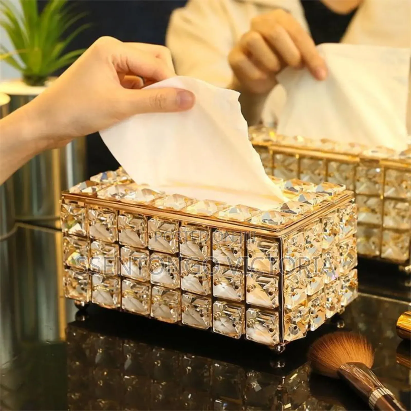 Tissue Holder