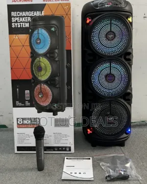 Portable Bluetooth Party Speaker With Microphone, Built-in Dj Lighting