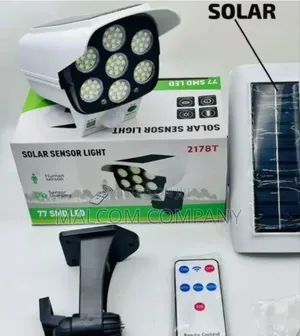 Solar Energy Motion Sensor Lamp