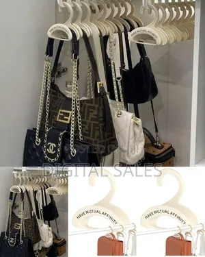 Multi-functional Accessory Storage Hanger For Closets -