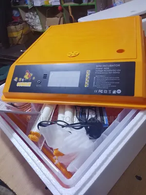 Intelligent Egg Incubator