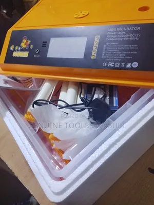 Intelligent Egg Incubator