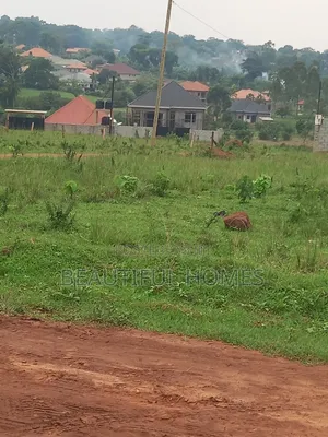 Nakwero Quicksale Plots