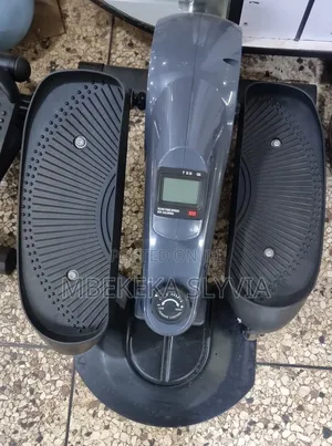 Mini Stepper Exercise Machine