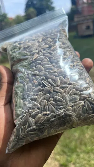 Sunflower Seeds