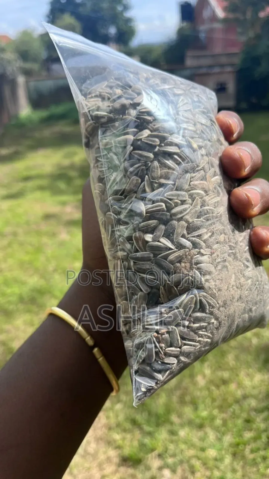 Sunflower Seeds