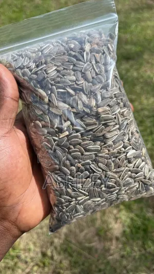 Sunflower Seeds