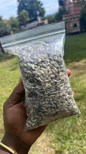 Sunflower Seeds